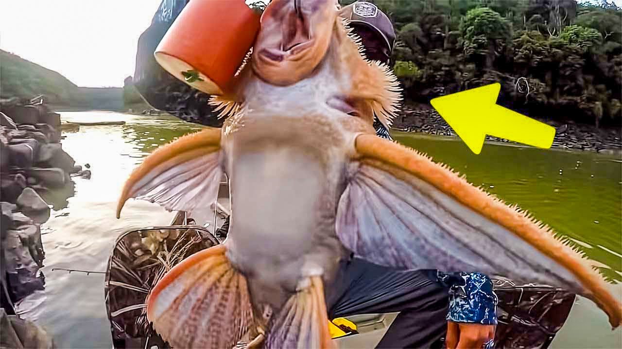 Pescador afortunado atrapó algo increíble - YouTuƄe